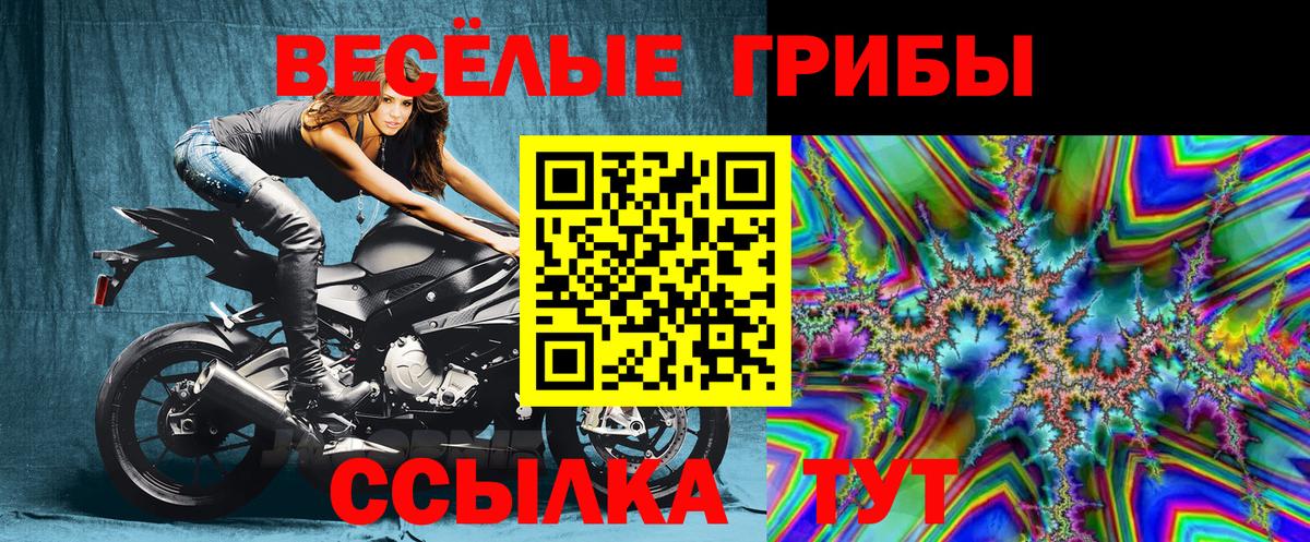 Псилоцибиновые грибы прущие грибы Строитель