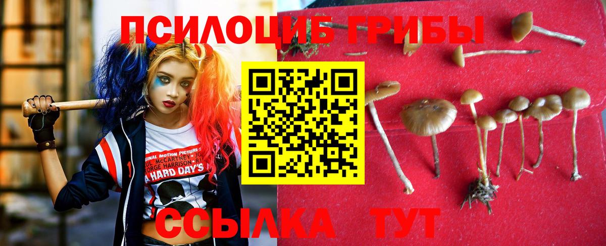 МЕТАДОН Строитель
