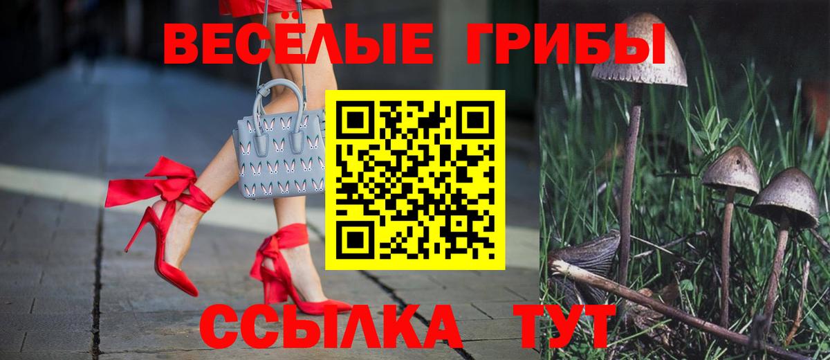 Строитель  Псилоцибиновые грибы мухоморы  Галлюциногенные грибы Magic Shrooms  Вход с VPN 